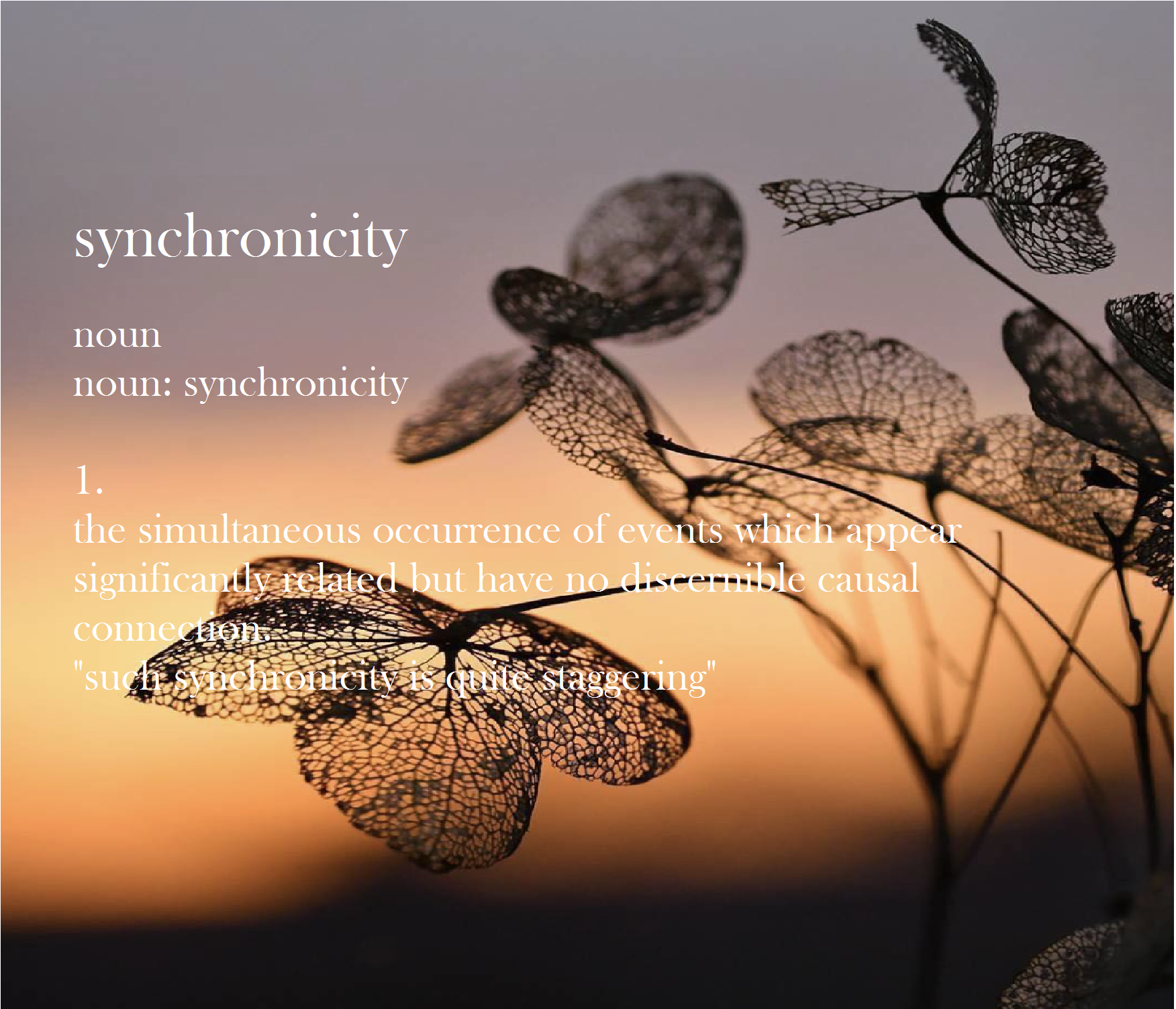 synchronisity